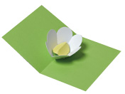 carte pop-up fleur